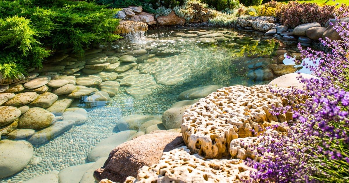 Bassins Aquatiques
