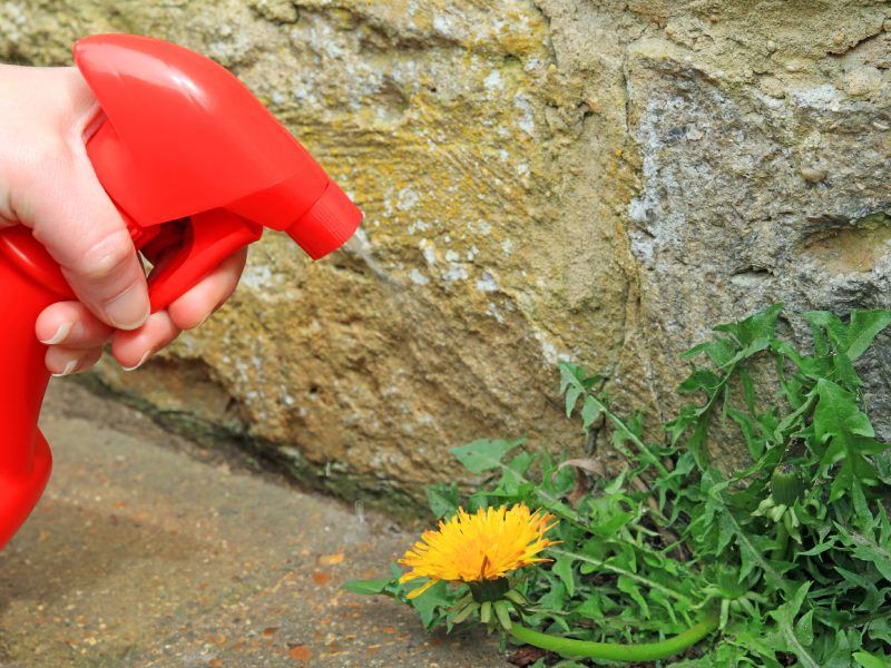 Application Herbicide Liquide