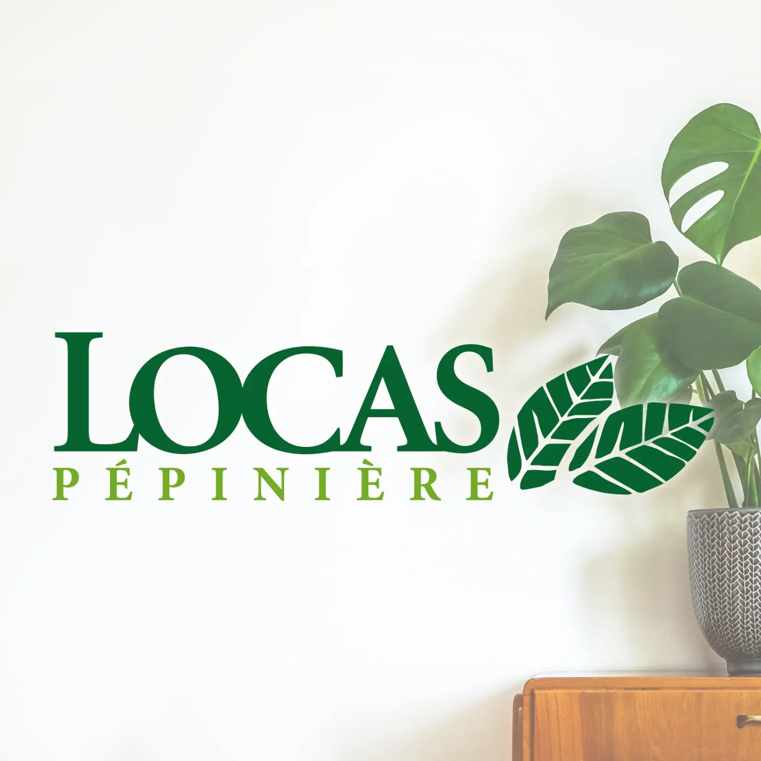Pépinière Locas