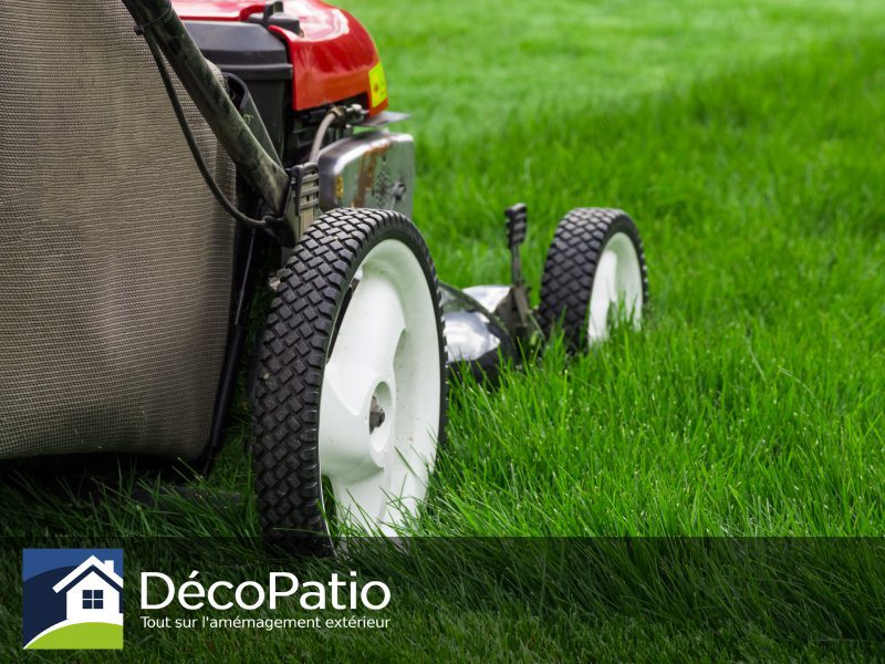 Entretien de terrain