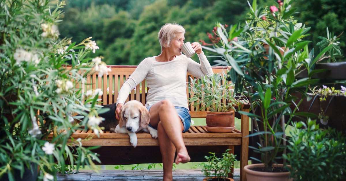 Tendence Cour Arriere 2022