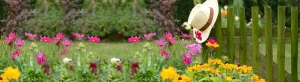 DECOPATIO WestIslandNurseryCOVER 300x82