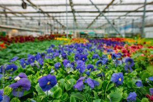 AdobeStock 338905332 Preview 300x200