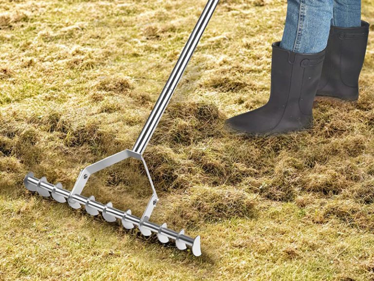 DP DACK Rateau   Dechaumage et scarification de la pelouse 768x576