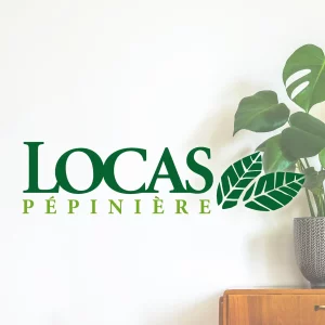 DP Pepiniere LocasLOGO001 300x300