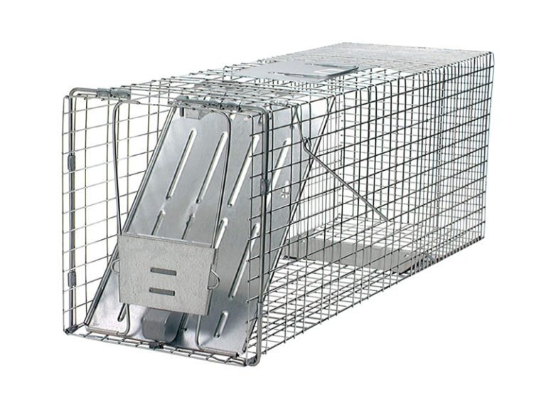 DP Piege Cage 1 Porte Taille Grande 1079 de Havahart 768x576