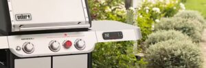 DecoPatio BusBanner Weber001 300x100